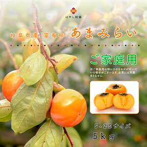  򕌌Y 󂠂 xL` S-2STCY 4.5`5L