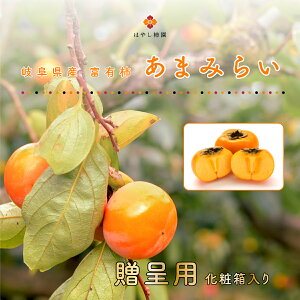 |Cg5{ 򕌌Y ъ`̕xL` ܂݂炢LTCY14@p pxL`