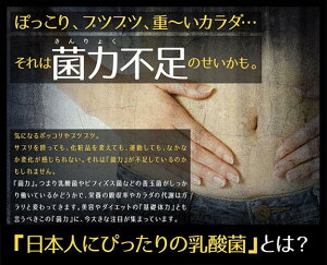 【4粒でヨーグルト1kg分!】すんき漬由来のグングンしみこむナノ型乳酸菌に活性型酵素をプラス!『ナノ型乳酸菌×活きてる酵素』