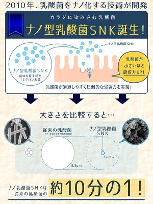 【4粒でヨーグルト1kg分!】すんき漬由来のグングンしみこむナノ型乳酸菌に活性型酵素をプラス!『ナノ型乳酸菌×活きてる酵素』