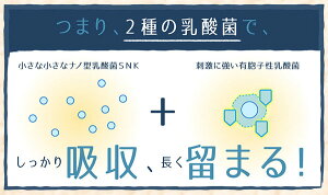 【4粒でヨーグルト1kg分!】すんき漬由来のグングンしみこむナノ型乳酸菌に活性型酵素をプラス!『ナノ型乳酸菌×活きてる酵素』