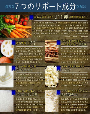 【4粒でヨーグルト1kg分!】すんき漬由来のグングンしみこむナノ型乳酸菌に活性型酵素をプラス!『ナノ型乳酸菌×活きてる酵素』