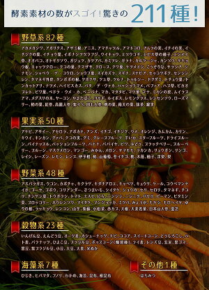 【4粒でヨーグルト1kg分!】すんき漬由来のグングンしみこむナノ型乳酸菌に活性型酵素をプラス!『ナノ型乳酸菌×活きてる酵素』