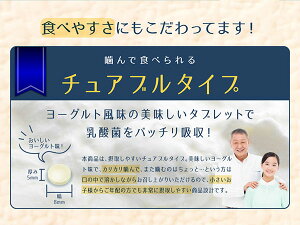 【4粒でヨーグルト1kg分!】すんき漬由来のグングンしみこむナノ型乳酸菌に活性型酵素をプラス!『ナノ型乳酸菌×活きてる酵素』