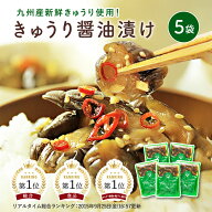 すなお食堂 きゅうり醤油漬け 100g×5袋 国産 ごはんのお供 漬物 宮崎県産 きゅうり 甘辛醤油漬け 無添加…