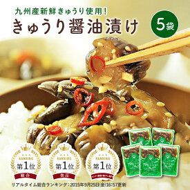宮崎県産 きゅうり醤油漬け 100g×5袋 漬物 ごはんのお供 おつまみ 副菜 国産 九州産 甘辛醤油漬け カリカリ食感 常備菜 おかず 一品 小分け 白ごはん 国内製造 送料無料【出荷目安：ご注文後3日〜5日後】