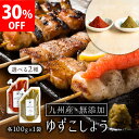 ＼ セール割引中！ ／九州産 ゆずこしょう(柚子胡椒) 100g×1袋 選べる2種類 （青唐辛子・赤唐辛子） 万能調味料 【メール便 送料無料】【出荷目安：ご注文後3日〜5日後】