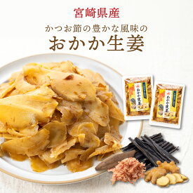 《漬物グランプリ2025金賞受賞》すなお食堂 おかか生姜 120g×2袋 国産 生姜 ガリ 【最短賞味期限：2025年8月20日】ごはんのお供 漬物【出荷目安：ご注文後3日〜5日後】