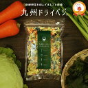 国産 乾燥野菜ミックス 九州ドライベジ100g×1袋 (戻して約500g) 九州産 ゆうパケット(ポスト投函)・代引不可 【出荷目安：4月下旬〜末△▼】