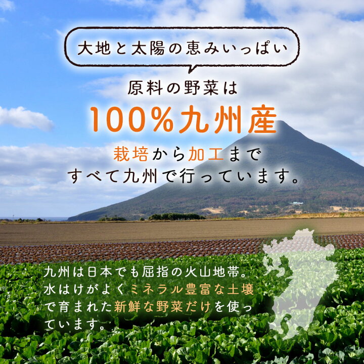 楽天市場】国産 乾燥野菜ミックス 九州ドライベジ100g×1袋 九州産 【メール便送料無料・代引不可】 【出荷目安：ご注文後1〜2週間】※選べる2種  : すなお食堂