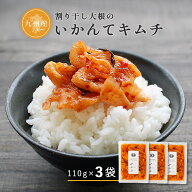 ＼7/3(金)12:00～1,708円→1,480円／すなお食堂 いかんてキムチ 110g×3袋 九州産 割り干し大根 キムチ漬…