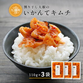 すなお食堂 いかんてキムチ 110g×3袋 九州産 割り干し大根 キムチ漬けご飯のお供 漬物 【出荷目安：注文後3～5営業日】