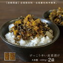 【大容量400g×2袋】九州産 けっこう辛い高菜漬け 合成着色料・保存料不使用 宮崎県産高菜を使用 ゆうパケット対応・代引き不可 (※代引きはゆうパケット対象外...