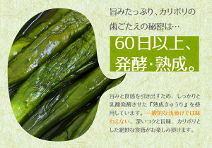 国産(宮崎県産)きゅうり醤油漬け