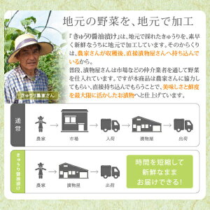 国産(宮崎県産)きゅうり醤油漬け