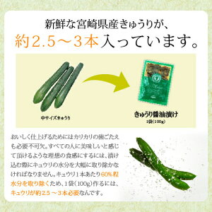 国産(宮崎県産)きゅうり醤油漬け
