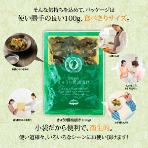 国産(宮崎県産)きゅうり醤油漬け