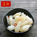 『ピリ辛らっきょう』90g×3袋セット 九州産 らっきょう 甘酢漬け 国産 宮崎県産 【ゆうパケット対応・代引不可】 （※代引きはゆうパケット対象外） 【出荷目...