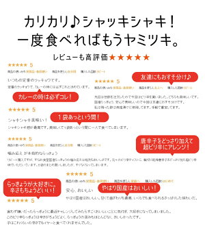 国産九州産宮崎県産らっきょう甘酢漬けらっきょう漬けメール便ポスト投函無添加