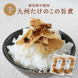 ＼ セール ／ 九州たけのこ旨煮120g×2袋 セット 宮崎県産 たけのこ ご飯のお供 惣菜 白ごはん ごはんのお供 筍 おかず 醤油 鰹節 合成着色料 保存料不使用 メール便 送料無料【出荷目安：ご注文後5日～7日】