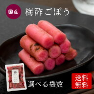 ＼今だけ1,368円→1,080円～／梅酢ごぼう 漬物 ごはんのお供 国産 ごぼう 梅酢 漬け 無添加 送料無料【出…