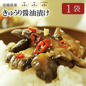 きゅうり醤油漬け 100g×1袋 きゅうり 漬物 宮崎産 国産 漬物 ごはんのお供 おかず 副菜 白ごはん ご飯のお供 買いまわり 副菜 カリポリ 甘辛 ピリ辛 醤油 小分け メール便対応・引不可 【送料別】【出荷目安：ご注文後5日～7日】