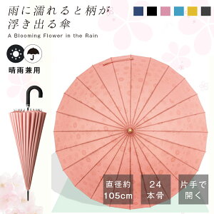 yJɔGƕオPz24{ P JP P Jp fB[X  p  ꂢ i a n Vv    ϕ v Wv  v[g lC  