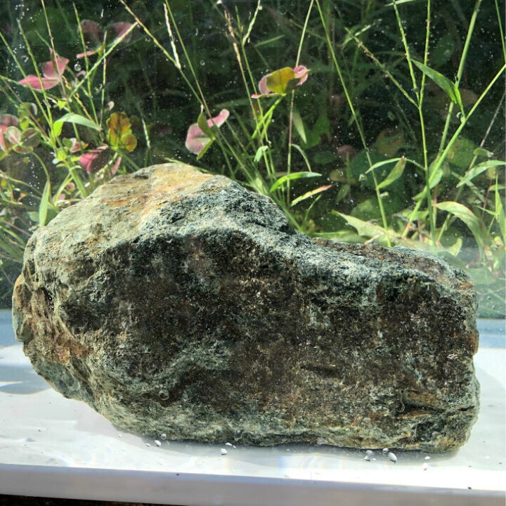 楽天市場】北アルプスのあぶら石NO.5アクアリウム 飾り石 油石 水槽 