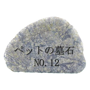 ybĝNO.12y{izVR΁@΁@Op@32cm×22cm15܂ŖCXg H El