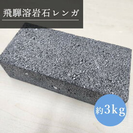 飛騨溶岩石レンガ 1個 溶岩石 タイル 敷石 保温板 DIY ガーデニング タイル材 耐熱性 庭用 壁材 ディスプレイ装飾 料理 器 ピザ窯 溶岩レンガ