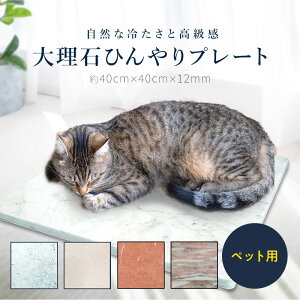 嗝΃ybgpv[gC^AY rARJE{e`[mtBI[g Ă̏΍ Ђ M   L }bg RH GR dC^_ ybgɗD VR 嗝 