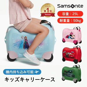 yԌ!! gN[|zzzq L[obO X[cP[X  L[obO y߂ e s h 25L 50Kg܂ T\iCg Samsonite
