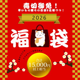サイズの選べる福袋 人気商品5点が2,980円! 送料無料 総額15,000円相当！ 売切御免 運だめし キッズ トップス ワイドパンツ Tシャツ 帽子 アクセサリー クーポン適用不可 5点セット福袋 2026年限定数福袋 無くなり次第終了！ ハッピーバッグ ラッキーバッグ