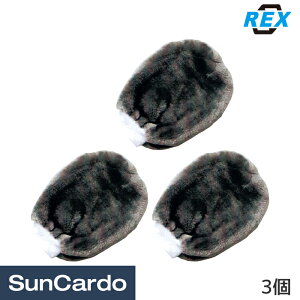 y}\Pő29{z O[u ~bg  REX(bNX) oO[u 3 J031221