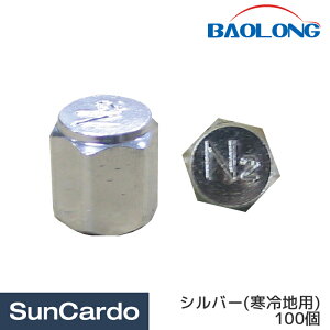 yyVC[OXӍՊPő23{zH  ^C fKX N2 BAOLONG(o[) N2ouLbv Vo[(np) 100