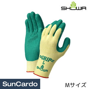 yyVX[p[SALEPő29{z O[u R  ی h SHOWA(V[) Obv(\tg^Cv) MTCY 1o No.310