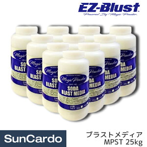 y}\Pő29{zyyVLO1ʁzC[W[uXg  ThuXg EZ Blust(C[W[uXg) MPST EZ BlustpfBA }WbNpE_[ 25kg