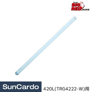 yyVX[p[SALEPő29{zH h  ThuXg BIGRED Torin BIG RED(rbObh) u 420L(TRG4222-W)p