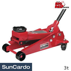 y}\Pő29{z K[WWbL tAWbL tA[WbL  ^C BIGRED Torin BIG RED(rbObh) K[WWbL V[g 3t TZ835022