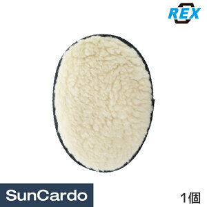 【ワンダフルデー期間P最大23倍】洗車 グローブ ミット 車 REX(レックス) 洗車グローブ 1個 J031017