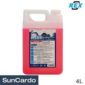�y�}���\������P�ő�29�{�z��� �J�[�V�����v�[ �V�����v�[ �� REX(���b�N�X) �A�����J�[�V�����v�[ 4L RXC06-ES03