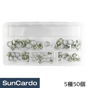 y}\Pő29{zH  C z[XNv z[XNvZbg 550