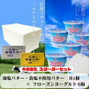 中央製乳 スターターセット フローズンヨーグルト6個&中央バター450g2種(加塩・食塩不使用) 国産 豊橋 プレゼント お祝い 贈り物 父の日