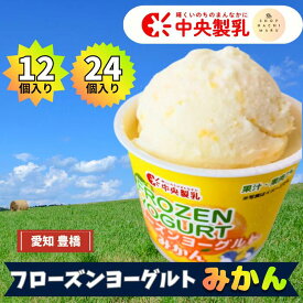 フローズンヨーグルト みかん 中央製乳 国産 豊橋 スイーツ プレゼント 父の日 お中元 お祝い 贈り物