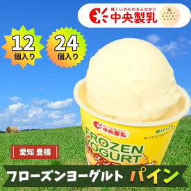 フローズンヨーグルト パイン 中央製乳 国産 豊橋 スイーツ プレゼント お祝い 贈り物