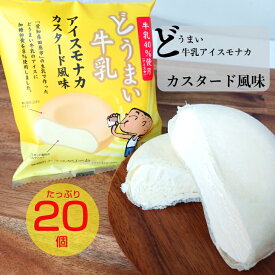中央製乳 どうまい牛乳アイスモナカ カスタード風味20個入 120ml 国産 豊橋 田原 ギフト プレゼント バレンタイン お祝い 贈り物