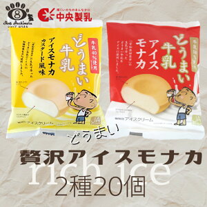  ǂ܂ACXiJ2 20l(e10) Y L c NX}X v[g Ε N