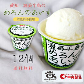渥美半島のめろんのあいす 12個入 中央製乳 国産 豊橋 スイーツ バレンタイン プレゼント お祝い 贈り物
