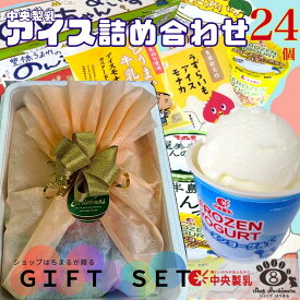 【ギフト仕様】 アイス詰め合わせ 24個 ご当地アイス 中央製乳 国産 豊橋 スイーツ のし対応 ギフト お菓子 アイスモナカ プレゼント バレンタイン お祝い