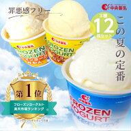 フローズンヨーグルト3種詰合せ 12個(プレーン・パイン・みかん) 中央製乳 国産 豊橋 スイーツ プレゼン…
